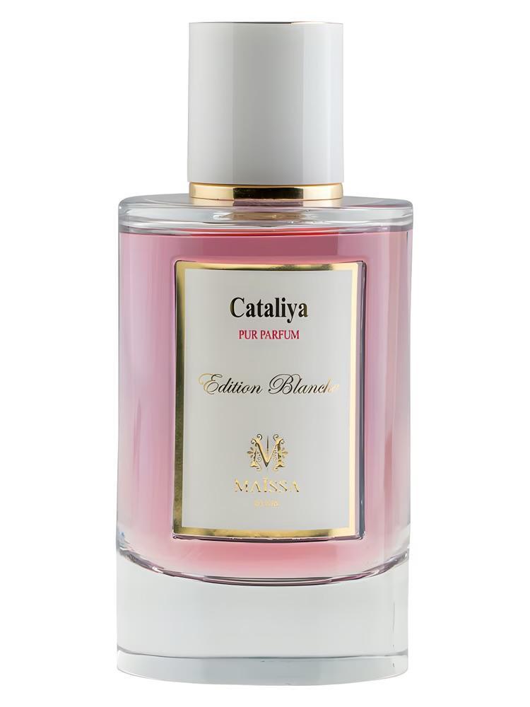 Cataliya - edp - 50ml